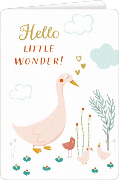  Grußkarte - Hello Little Wonder!