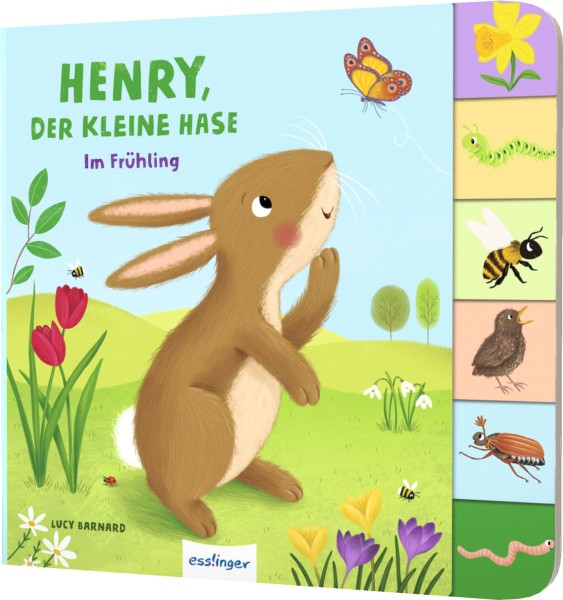  Henry, der kleine Hase im Frühling