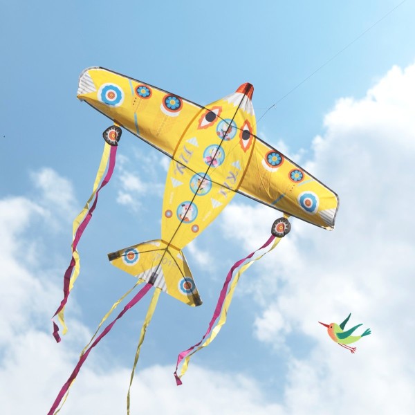  Drachen Maxi Flugzeug - DJECO