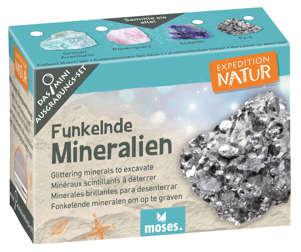 Expedition Natur Mini-Ausgrabungsset (1 Stück - verschiedene Designs)
