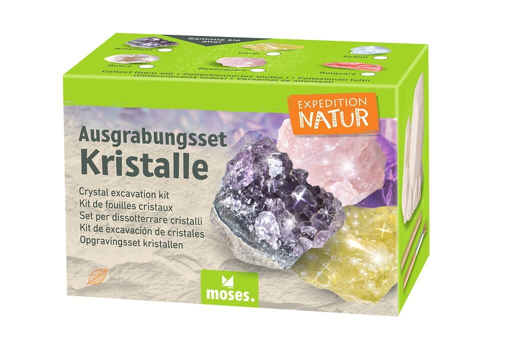Expedition Natur Ausgrabungsset Kristalle (verschiedene Designs, 1 Stück)