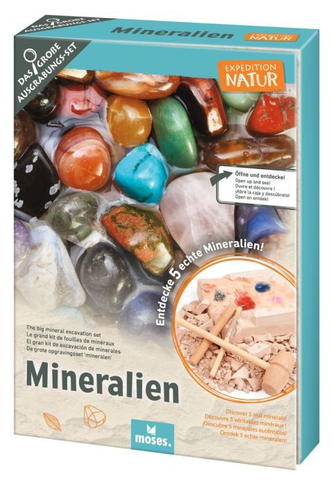 Expedition Natur Das große Mineralien-Ausgrabungs-Set