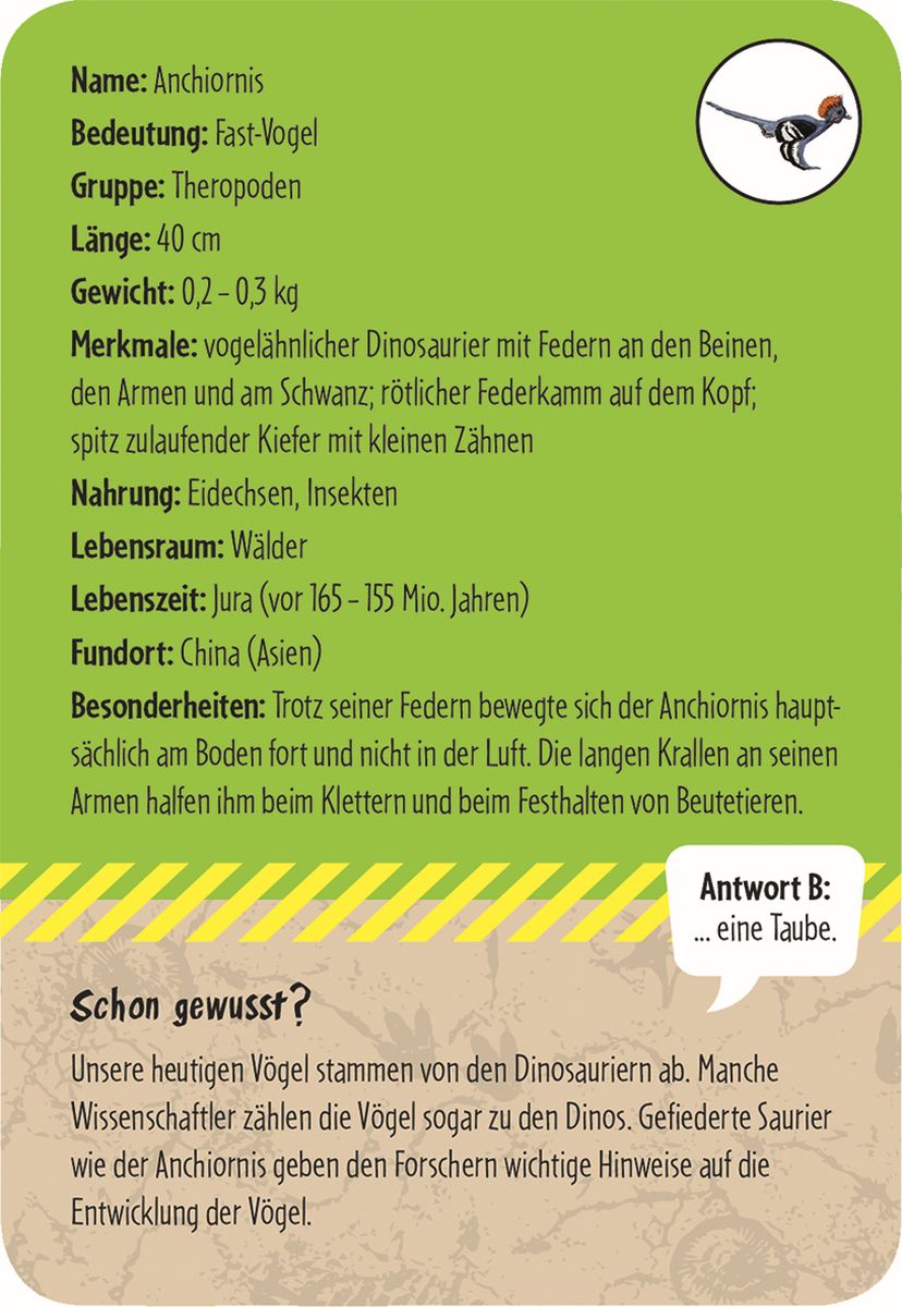 50 Dinosaurier - erkennen & staunen - Moses