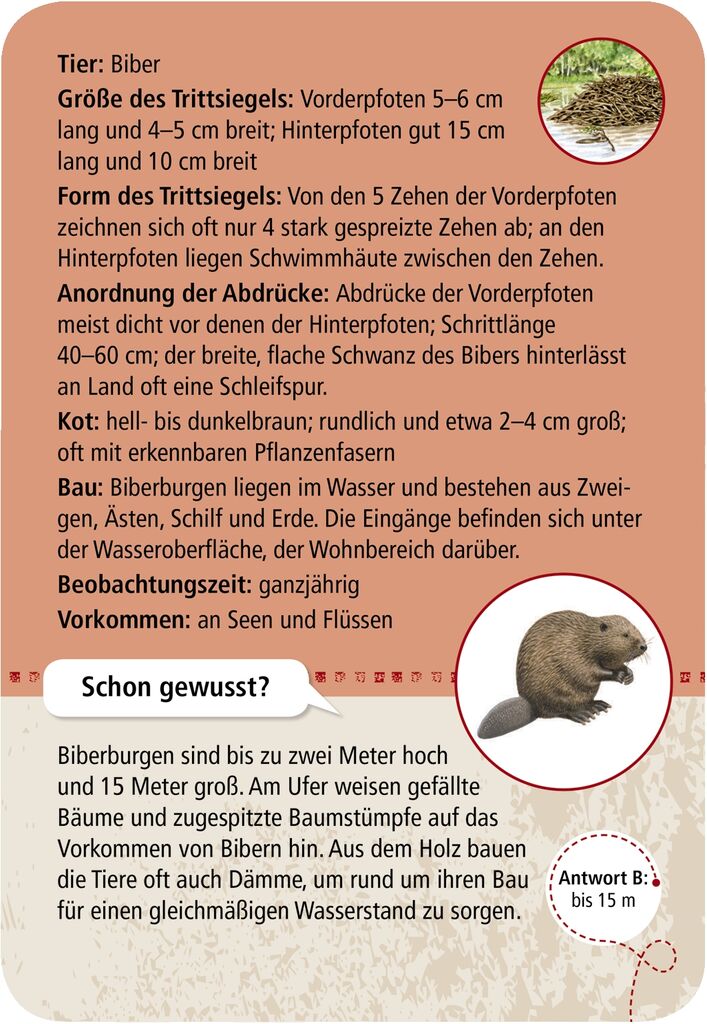 Expedition Natur 50 Tierspuren - Moses