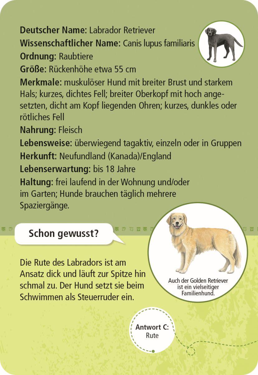Expedition Natur 50 Haustiere - Moses