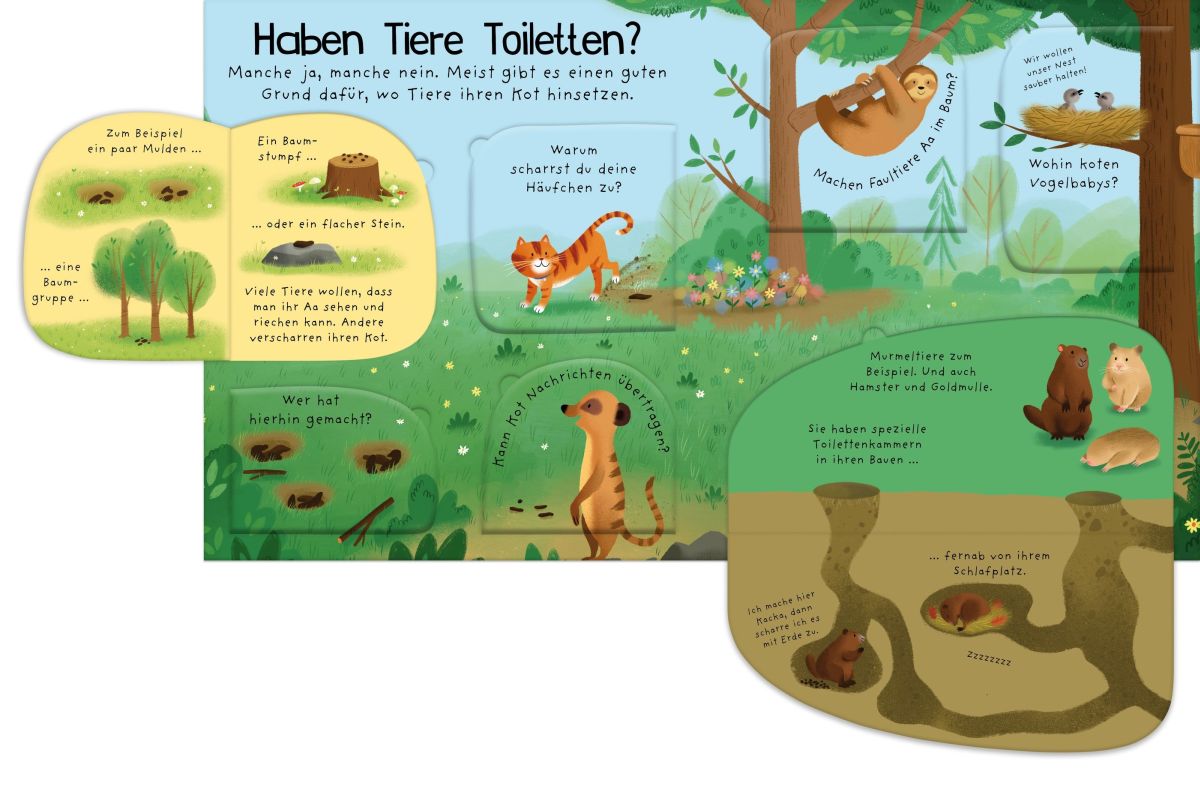 Erstes Aufklappen und Verstehen: Alle müssen mal - und dann? 4+