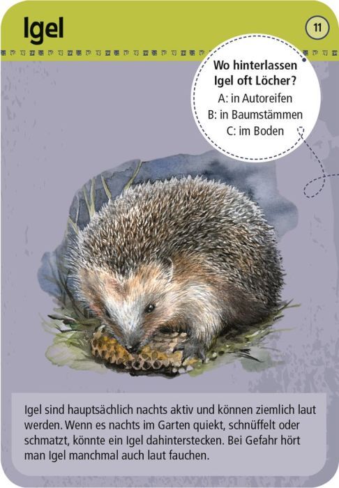 Expedition Natur 50 Tiere der Nacht - Moses
