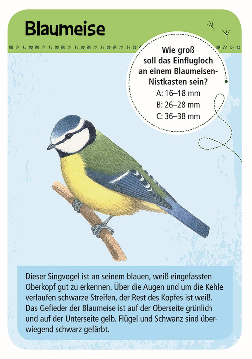 Expedition Natur 50 heimische Vögel  - Moses
