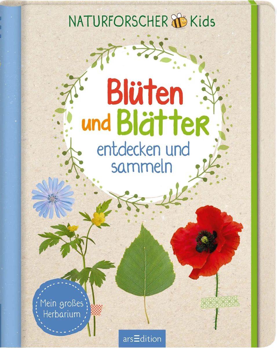 Blüten und Blätter entdecken und sammeln - Mein großes Herbarium 6+