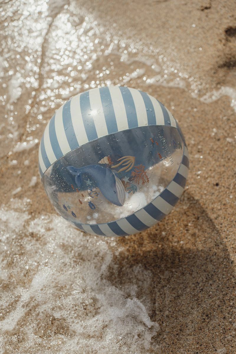 Strandball Ocean World 35cm - Little Dutch