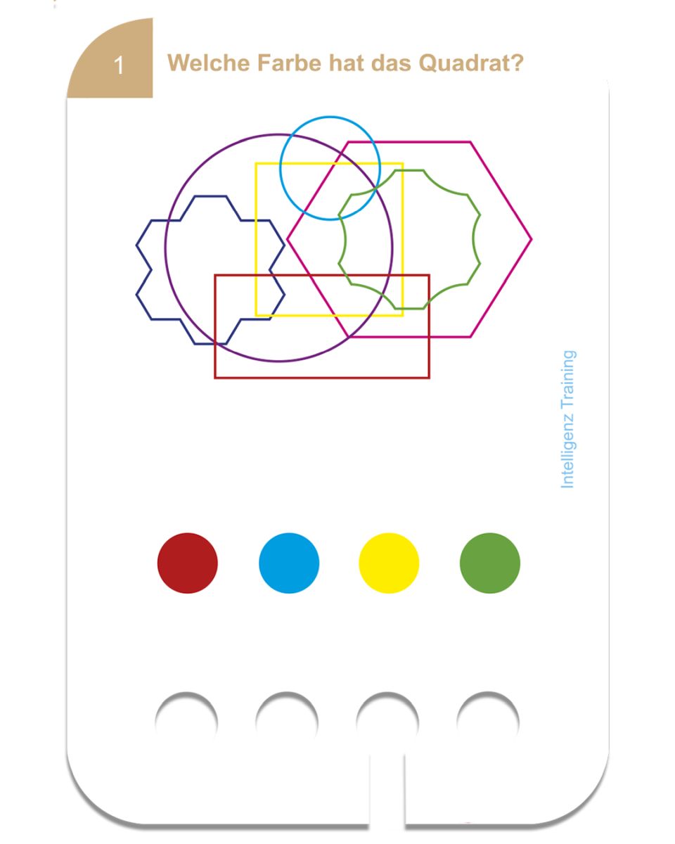 Intelligenz Training 6+ - Kölner Lernspielverlag