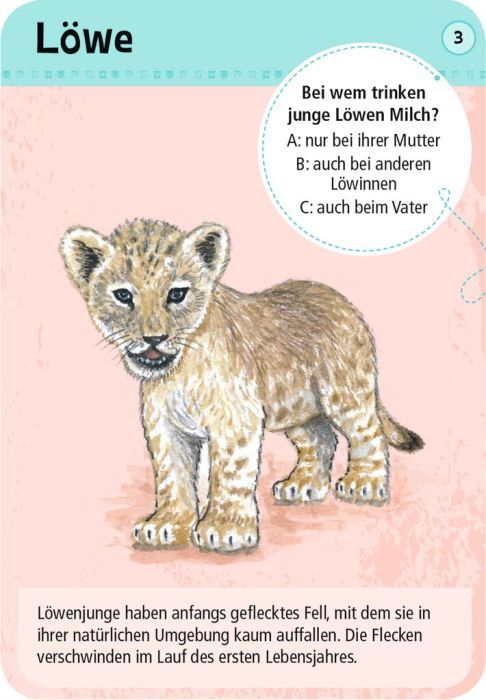 Expedition Natur 50 Tierkinder - Moses