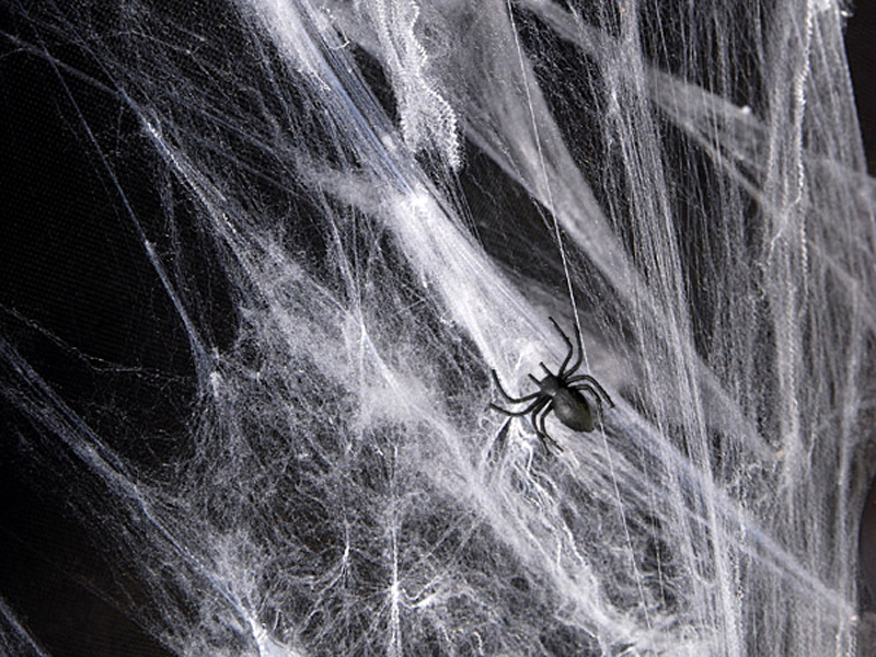 Halloween Spinnennetz weiß - Party Deco