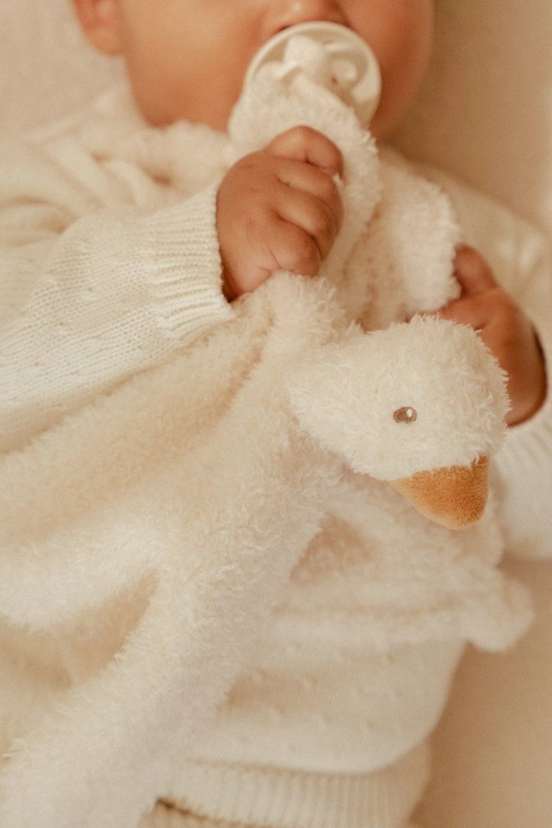 Schmusetuch Little Goose - Little Dutch