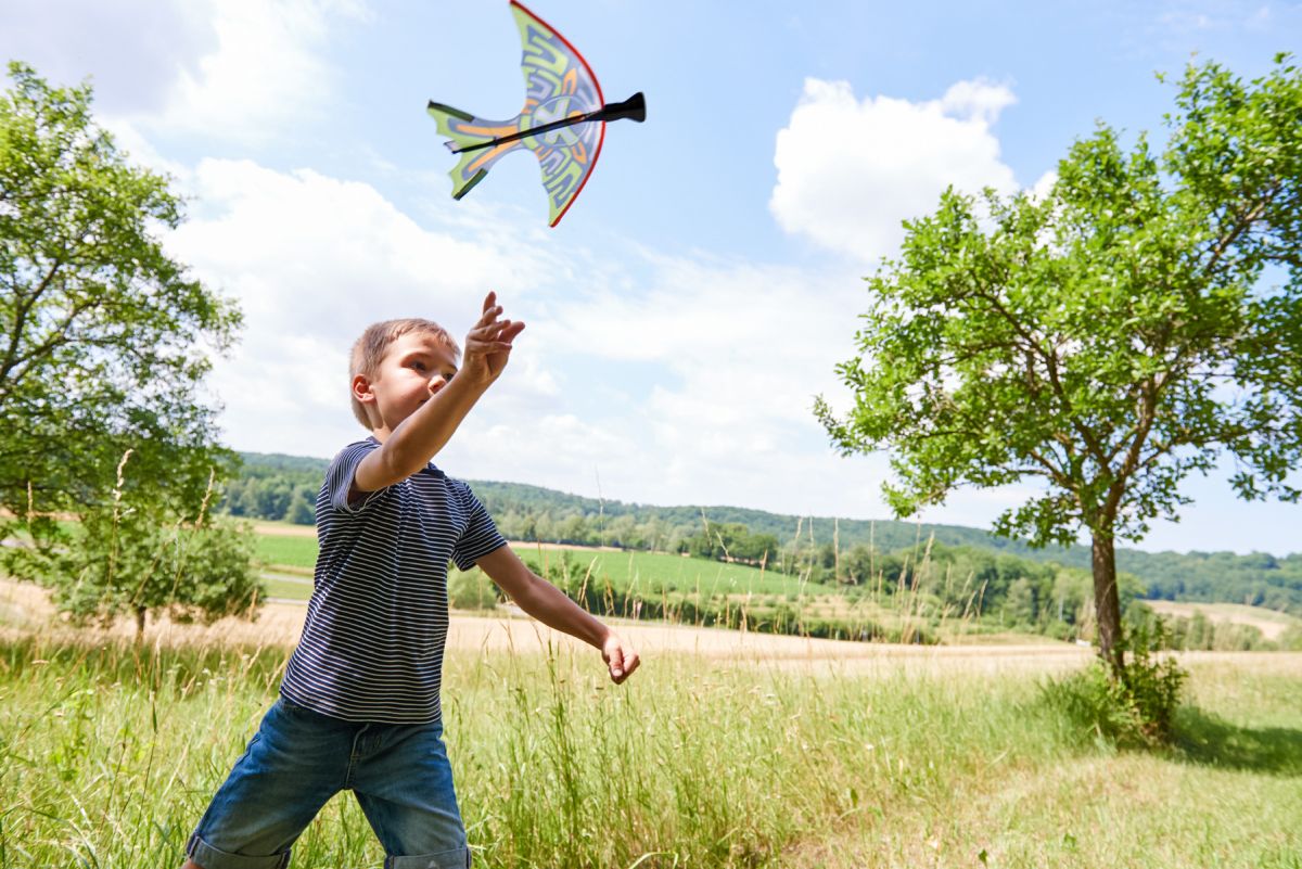 HABA Terra Kids Schleuder-Gleiter