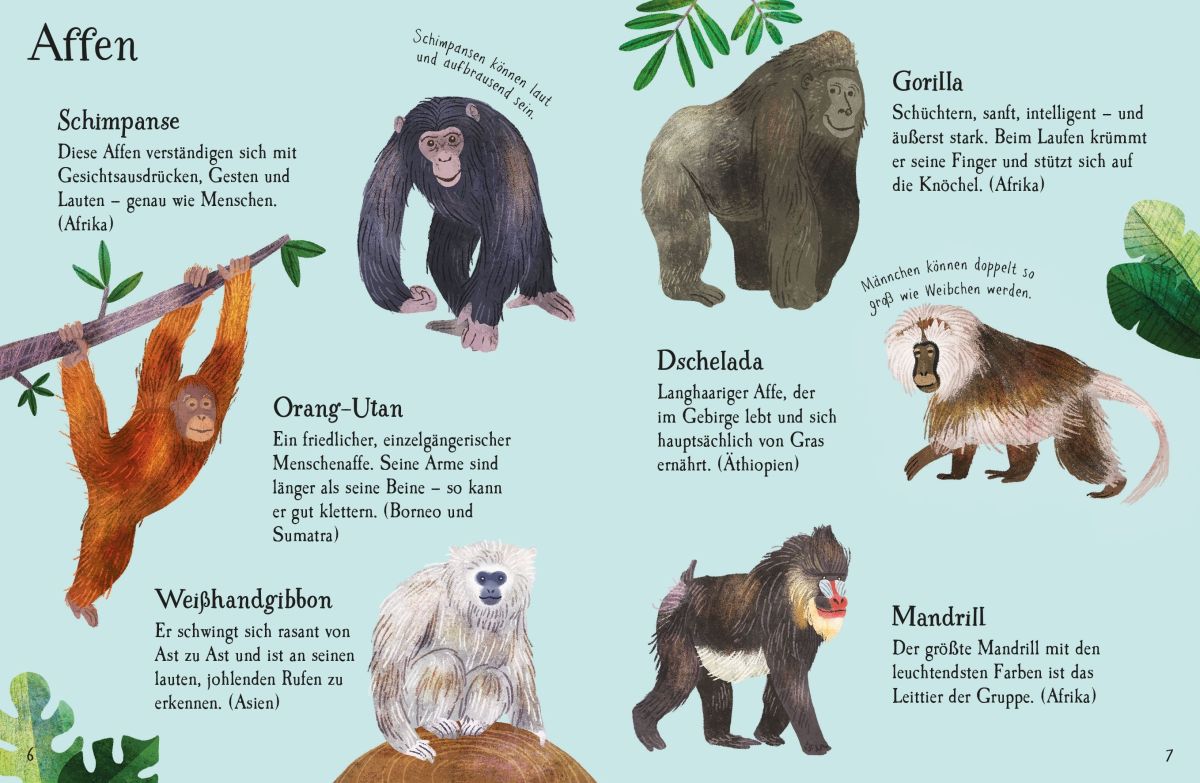 Usborne Minis Naturführer: Zootiere 6+