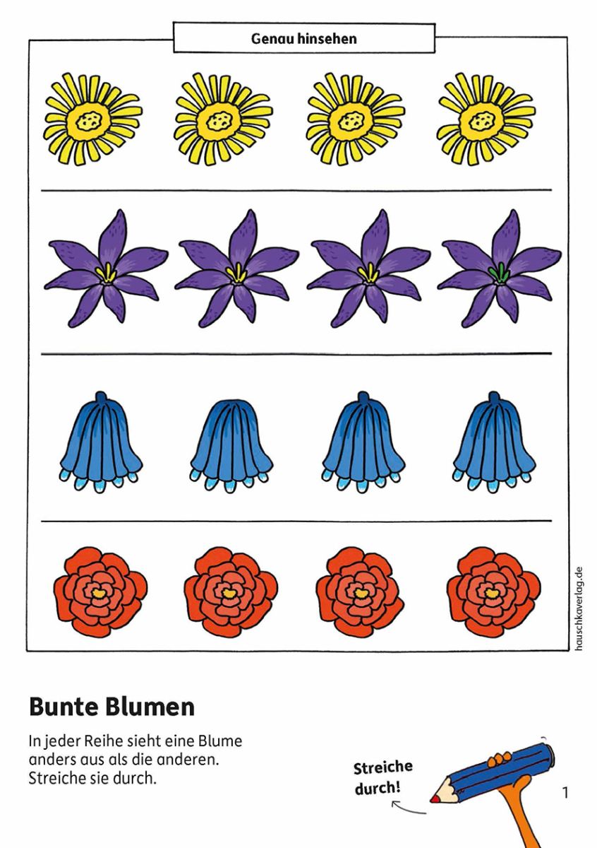 Kindergartenblock - Gemeinsamkeiten & Unterschiede - Hauschka Verlag 4+