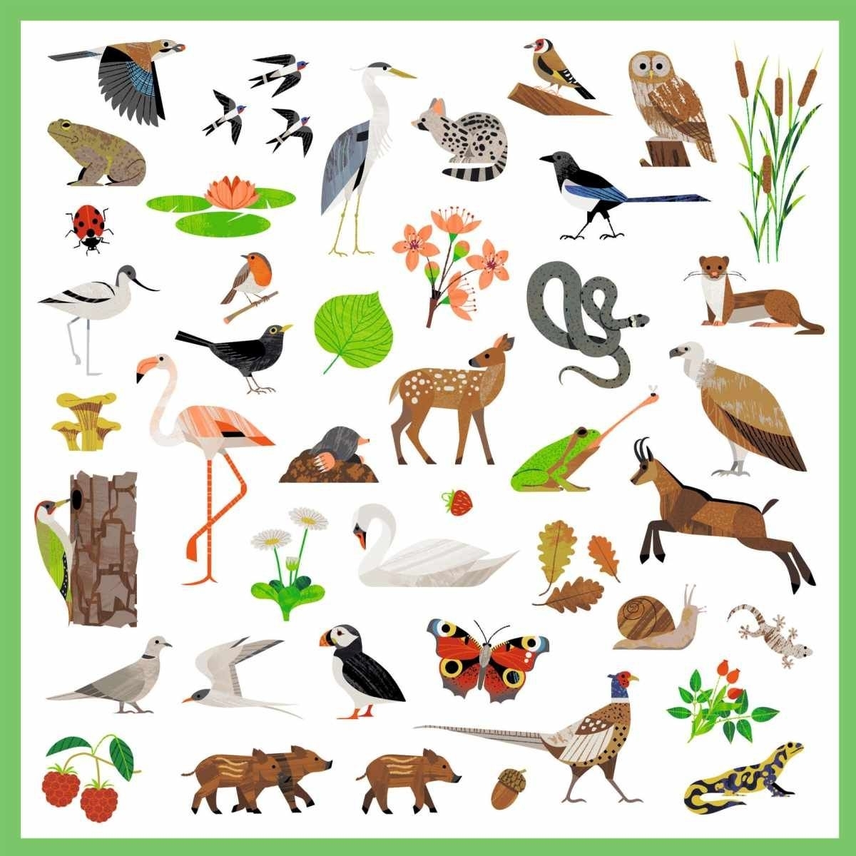 Sticker: Tierwelt - Djeco