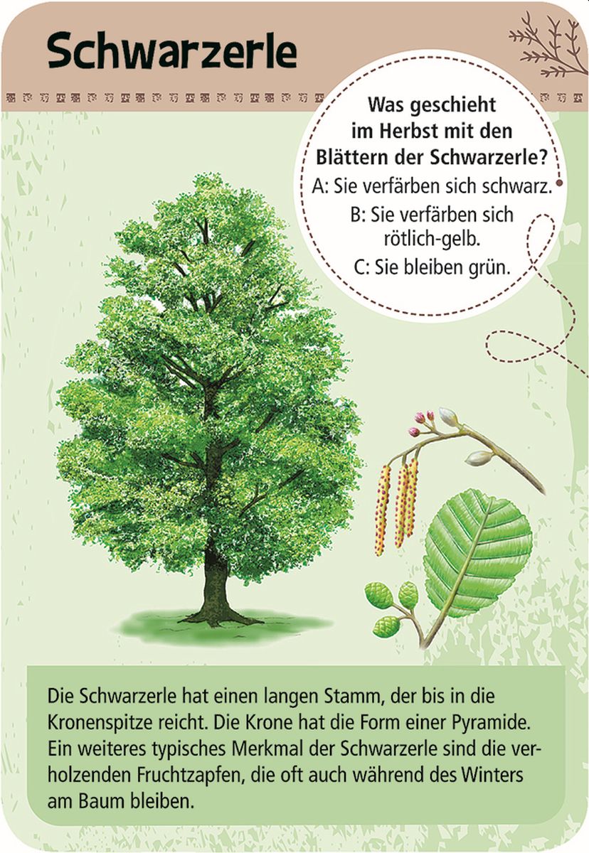 Expedition Natur 50 heimische Bäume - Moses