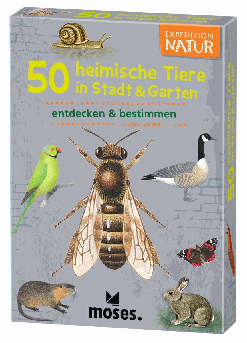 Expedition Natur 50 heimische Tiere in Stadt & Garten - Moses