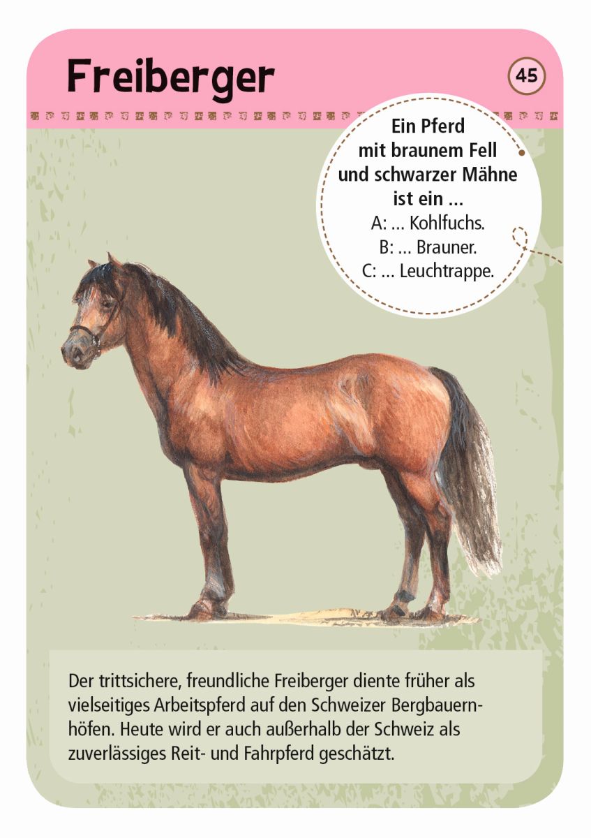 Expedition Natur 50 Pferde & Ponys - Moses