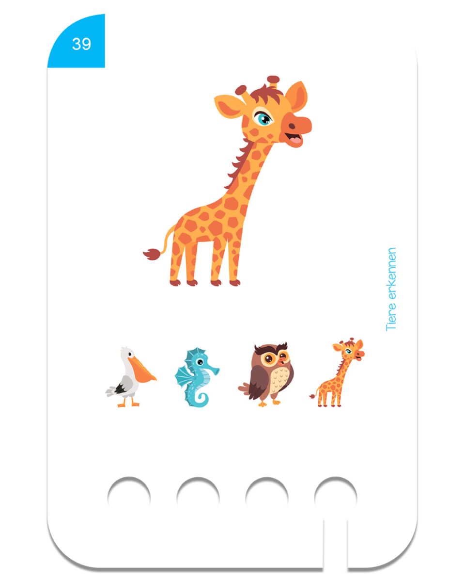 Erste Übungen - Tiere erkennen 2+ - Kölner Lernspielverlag