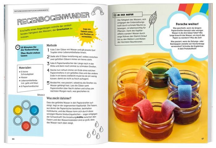 Das große Buch der Experimente