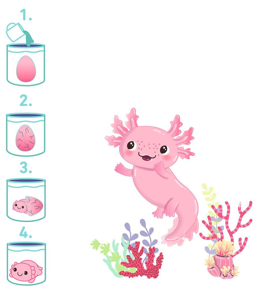 Schlüpfende Axolotl (verschiedene Designs, 1 Stück)