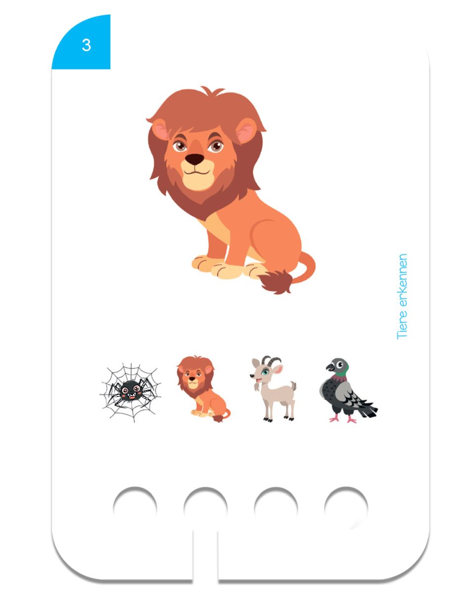 Erste Übungen - Tiere erkennen 2+ - Kölner Lernspielverlag