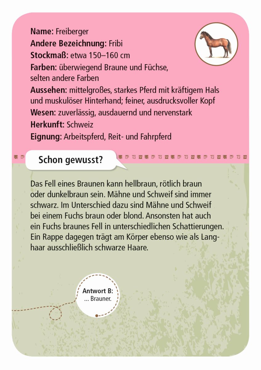 Expedition Natur 50 Pferde & Ponys - Moses