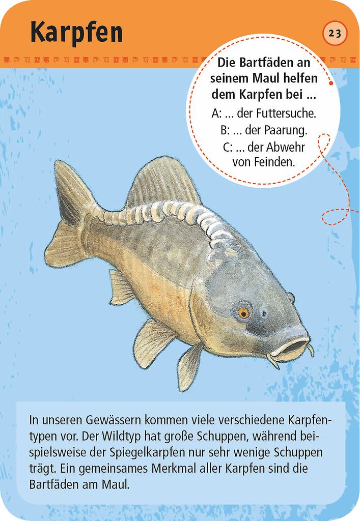 Expedition Natur 50 heimische Tiere & Pflanzen an Bach und Teich - Moses (versch. Designs, 1 Stück)