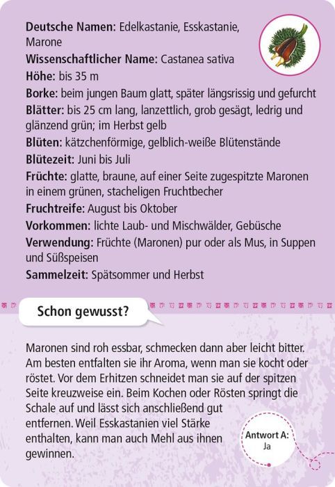 Expedition Natur 50 essbare Wildpflanzen - Moses