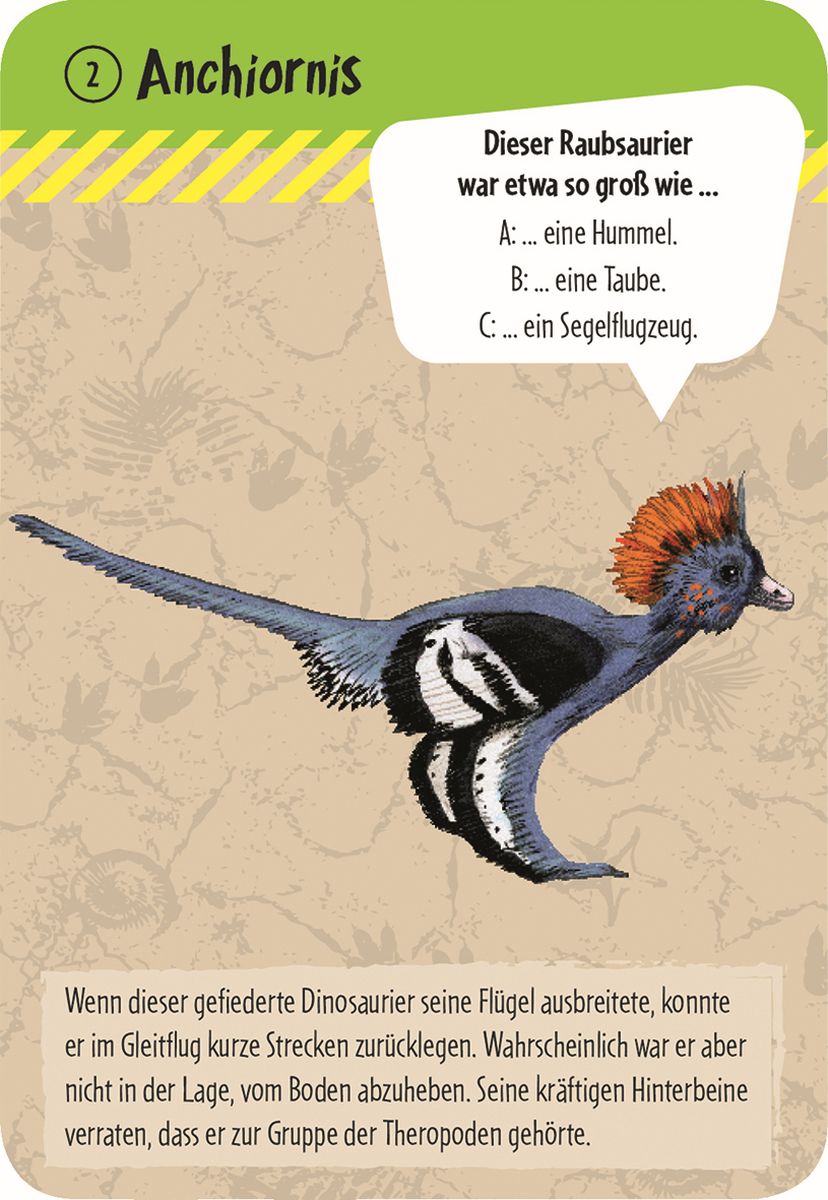 50 Dinosaurier - erkennen & staunen - Moses