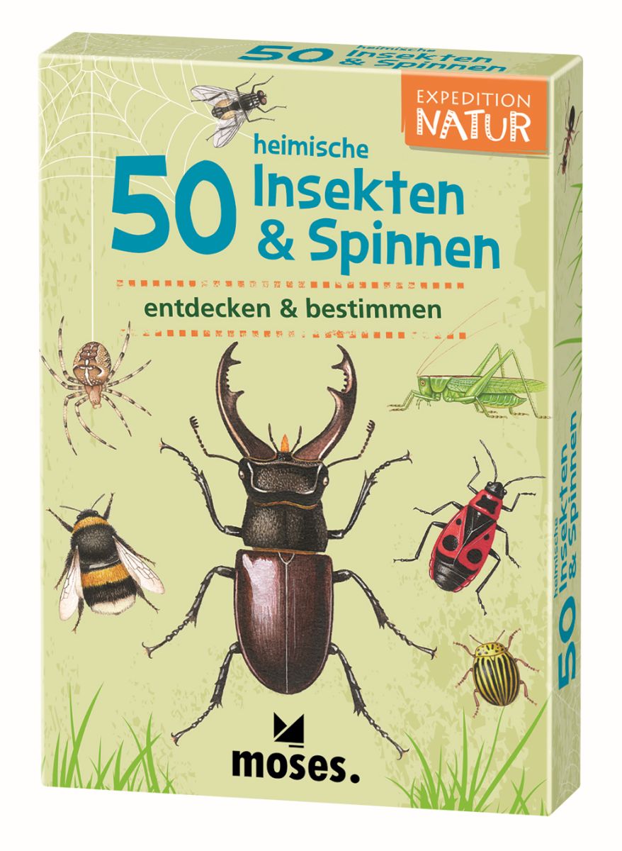 Expedition Natur 50 heimische Insekten & Spinnen  - Moses