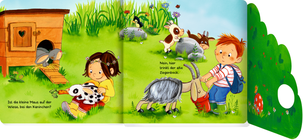 Mein 1. Guckloch-Fühlbuch: Kleine Maus, wo bist du? (Fühlen & begreifen)