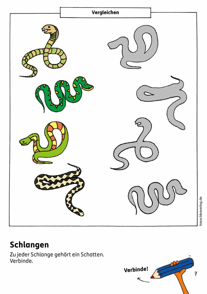 Vorschulblock - Konzentration und Wahrnehmung - Hauschka Verlag 5+