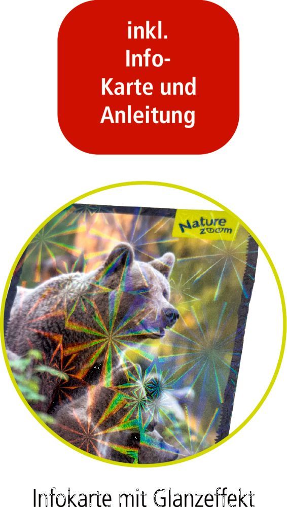 3D Mini-Bausatz Bär - Nature Zoom