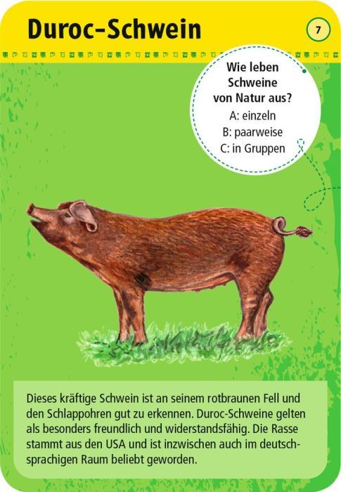 Expedition Natur 50 Tiere auf dem Bauernhof - Moses