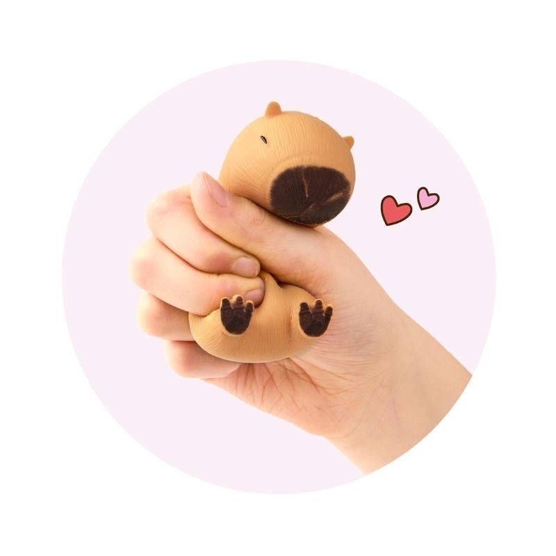 Capybara SQUEEZE CAPYBARA