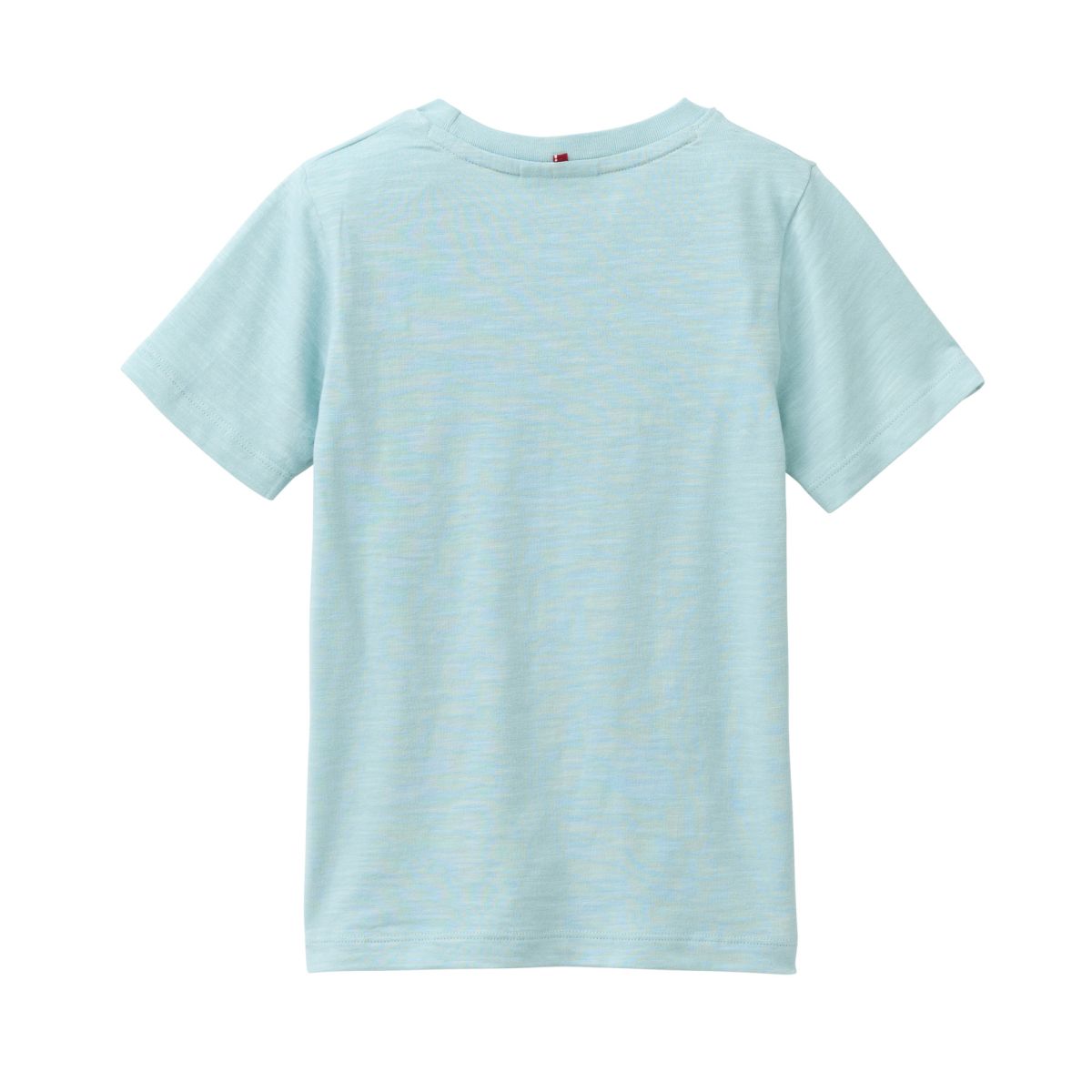 T-Shirt mint mit Van GOTS - 110