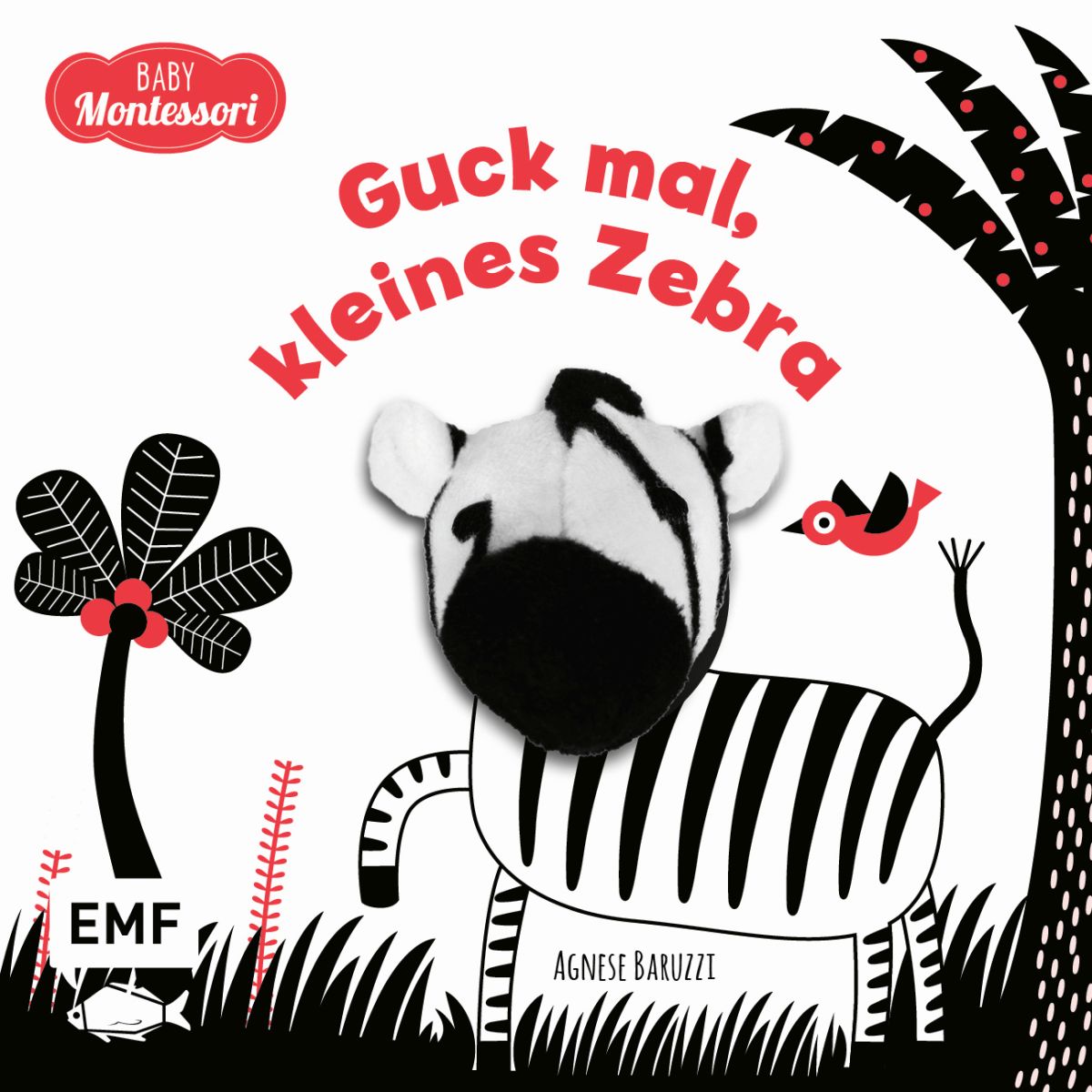 Guck mal, kleines Zebra (Kontrastbuch) + 0 M