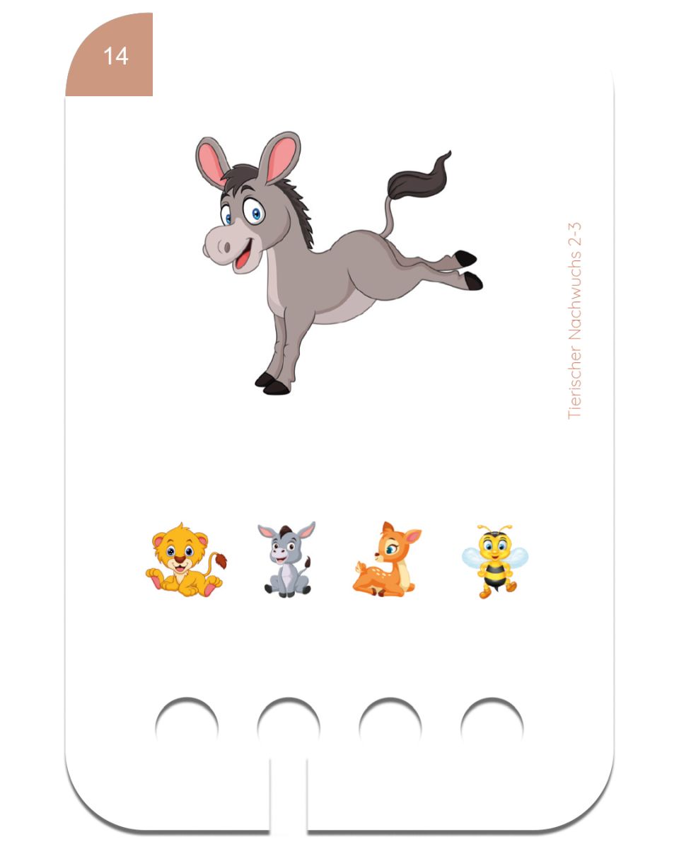 Tierischer Nachwuchs 2-3 - Kölner Lernspielverlag