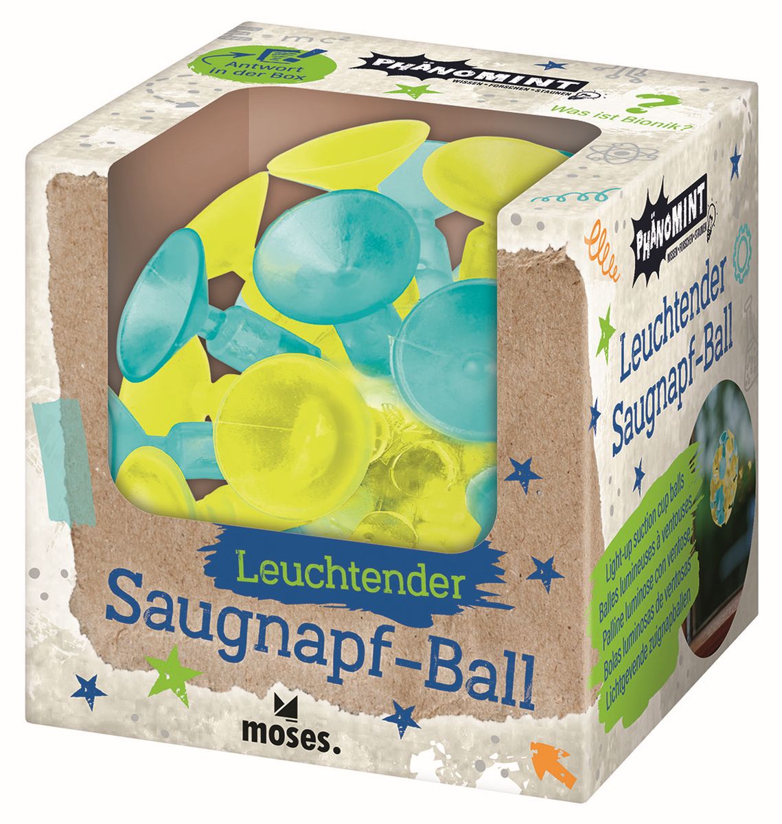 PhänoMINT Leuchtender Saugnapf-Ball