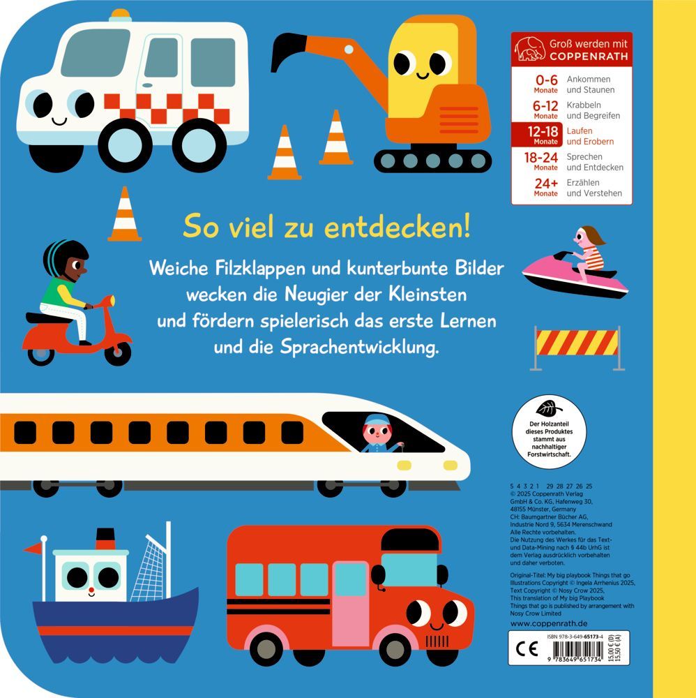 Mein großes Wörterbuch: Fahrzeuge (Fühlen&begreifen)