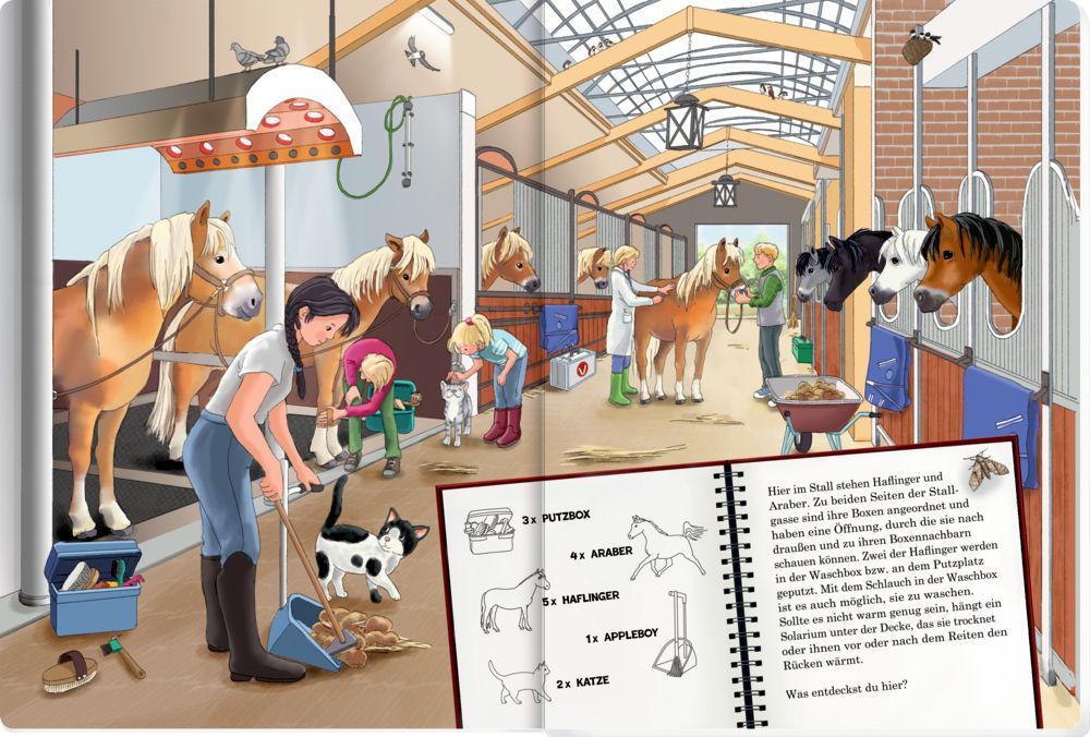Mein riesengroßes WimmelSuchBuch: Pferde & Ponys (Buchbonus)