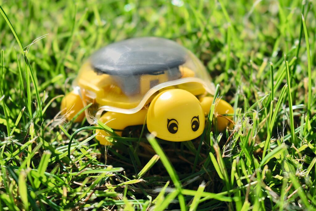 PhänoMINT Solar-Schildkröte (verschiedene Designs, 1 Stück)