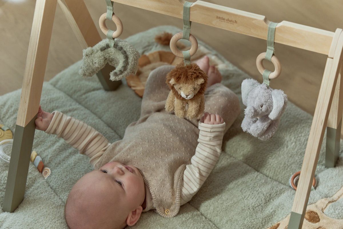 Babyspielbogen Safari Friends - Little Dutch