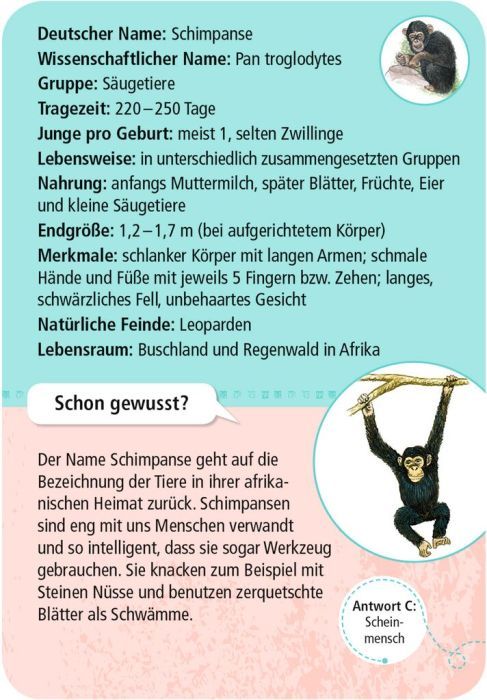 Expedition Natur 50 Tierkinder - Moses