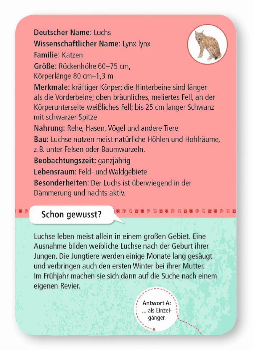 Expedition Natur 50 heimische Wald- & Wildtiere - Moses