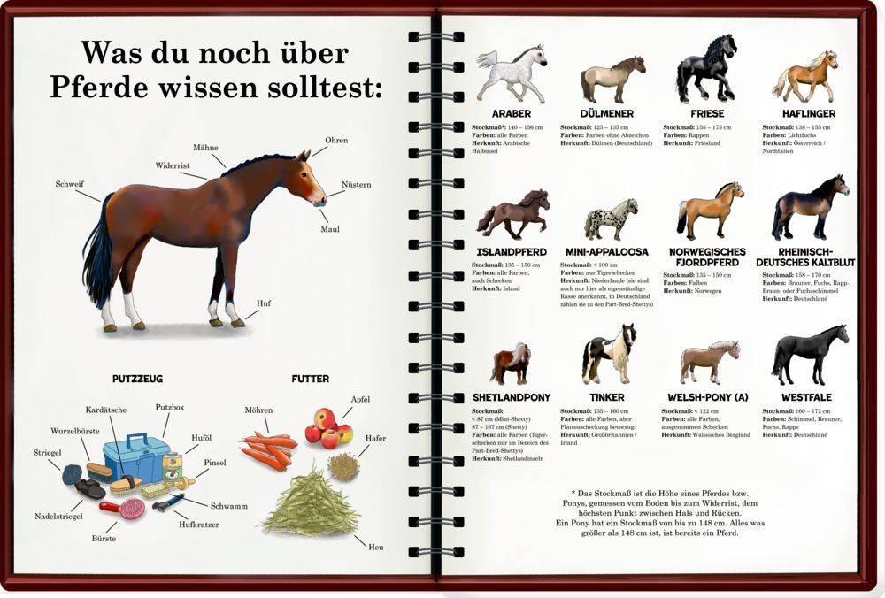 Mein riesengroßes WimmelSuchBuch: Pferde & Ponys (Buchbonus)